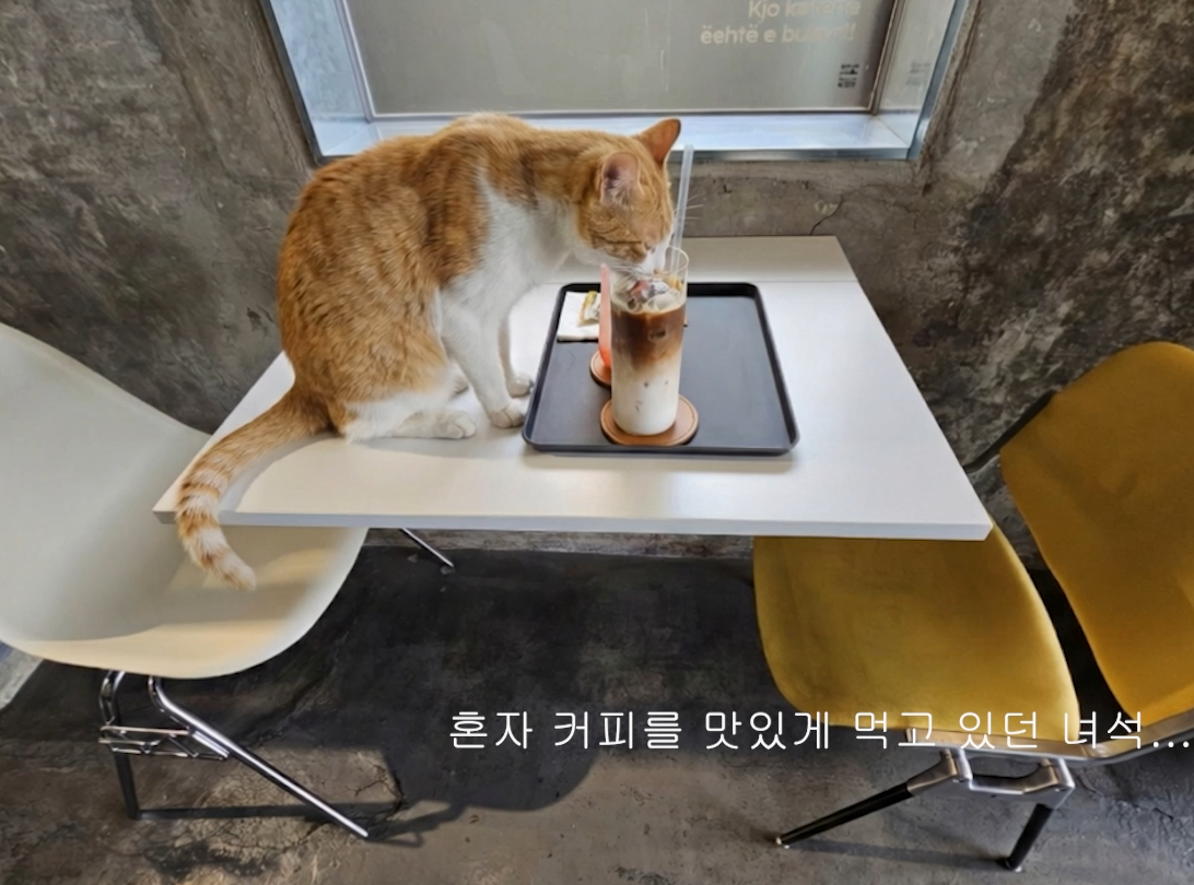 카페 스타일 제작